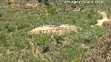 Dolmen del Pozuelo III. Dlmenes 3 y 4