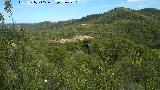 Dolmen del Pozuelo III. Dolmen 3 y 4