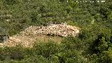 Dolmen del Pozuelo III. 