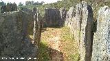 Dolmen del Pozuelo IV. 