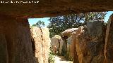 Dolmen del Pozuelo V. 