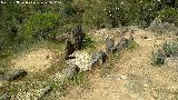 Dolmen del Pozuelo IX. 