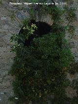 Ermita del Pla de Petracos. Puerta