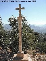 Cruz de las Peas de Castro. 