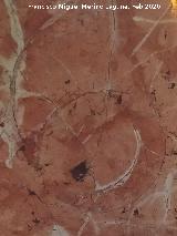 Bas�lica de San Ildefonso. Altar de la Divina Pastora. Ammonitico Rosso