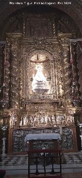 Bas�lica de San Ildefonso. Capilla de la Virgen de la Capilla. 