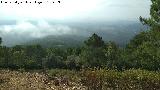 Collado de la Estrella. Vistas