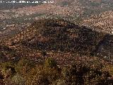 Cerro Cabeza Gorda. 