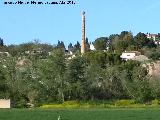 Chimenea de la Papelera de Jan. 