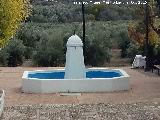 Fuente de la Plaza de San Miguel. 