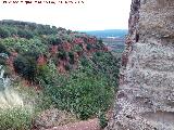 Barranco de la Atalaya. Desde el paredn