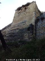 Castillo Viejo de Santa Catalina. Torren de Tapial. 