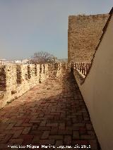 Castillo de Lopera. Alczar. Azotea norte