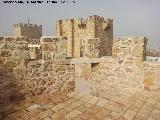 Castillo de Lopera. Torren Sureste. Alczar desde su azotea