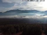 Cerro Cortijillo. Vistas hacia el Yelmo