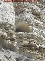 Castelln Alto. Ladera Este. Cueva alta