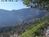 Mirador de Albanchez. Vistas