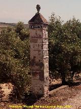 Cortijo Los Perejiles. 