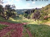 Arroyo del Hondillo. Paraje