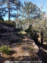 Camino de herradura del Banderillas. 