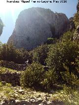 Camino de herradura del Banderillas. 