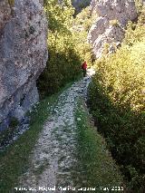 Camino de herradura del Banderillas. Pasado el Tranco del Perro