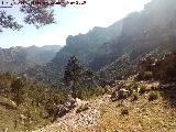 Collado de Linarejos. Vistas