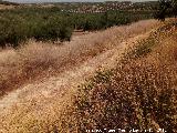 Calzada de la Huerta del Comendador. 