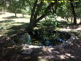 Fuente Circular de Caada de las Fuentes. 