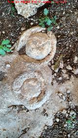 Eremitorio de la Cueva de las Cruces. Estalacmitas cortadas y renaciendo