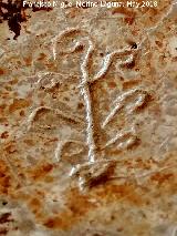 Eremitorio de la Cueva de las Cruces. Grabado vegetal