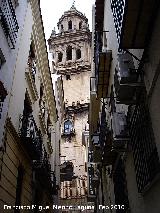 Calle Julio ngel. 