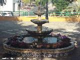 Fuente de la Plaza. 