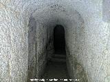 Ermita de San Torcuato. Pasillo