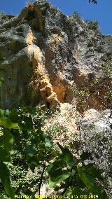 Pinturas rupestres de la Cueva del Sureste del Canjorro. Donde se ubican las pinturas