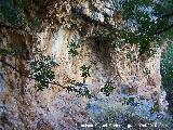 Pinturas rupestres de la Cueva de la Higuera. 