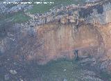 Pinturas rupestres de la Cueva de la Higuera. 