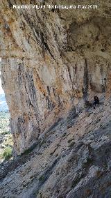 Pinturas rupestres de la Cueva de los Molinos. Abrigo