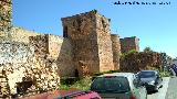 Castillo de los Guzmanes. Lateral sur