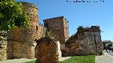 Castillo de los Guzmanes. Lateral sur