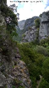 Aguascebas Grande. Can de la Cuenca alta del Aguascebas Grande