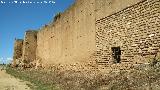 Muralla de Niebla. Muralla sur entre la Puerta del Buey y la Puerta del Agua