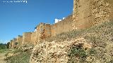 Muralla de Niebla. Muralla sur entre la Puerta del Buey y la Puerta del Agua