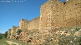 Muralla de Niebla. Muralla sur entre la Puerta del Buey y la Puerta del Agua