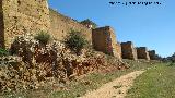 Muralla de Niebla. Muralla sur entre la Puerta del Buey y la Puerta del Agua