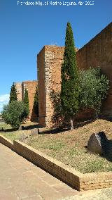 Muralla de Niebla. Sector oeste