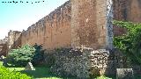 Muralla de Niebla. Detalle del sector norte