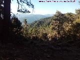 Camino de la Morra de los Pinos Blancos. Vistas