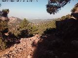 Camino de la Morra de los Pinos Blancos. 