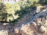Camino de la Morra de los Pinos Blancos. 